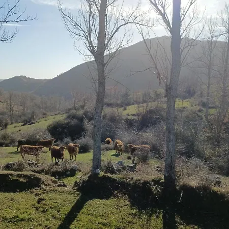 Sensaciones 3 Con Jardin Landsted *