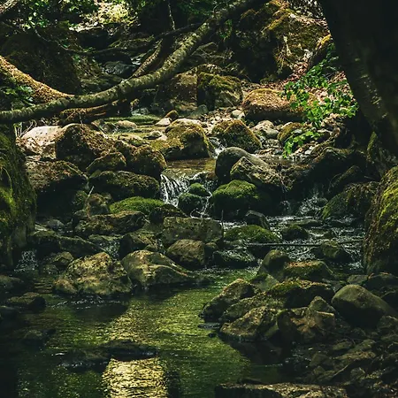 Landsted Sensaciones 3 Con Jardin *