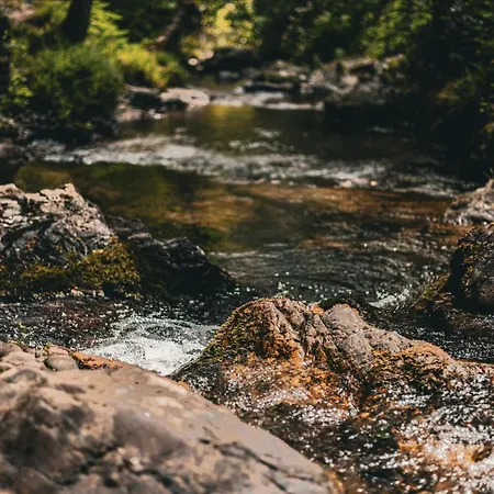 Sensaciones 3 Con Jardin *