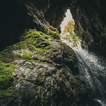 Sensaciones 3 Con Jardin Carrocera