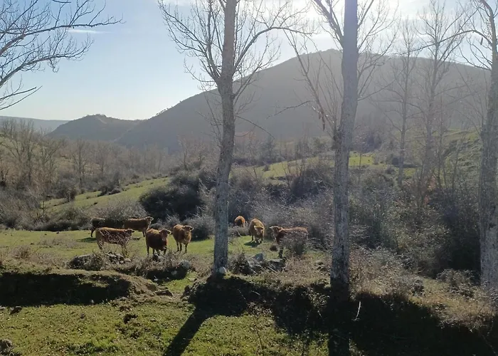 Sensaciones 3 Con Jardin Casa rural *