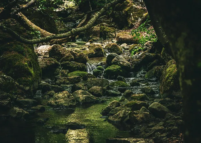 Casa rural Sensaciones 3 Con Jardin *