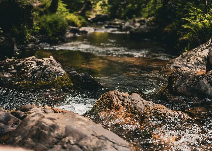 Sensaciones 3 Con Jardin *