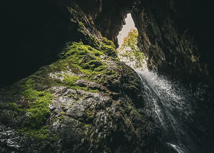 Sensaciones 3 Con Jardin Carrocera