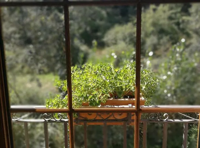 Casa rural Sensaciones 3 Con Jardin